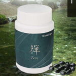 マイクロアルジェ 禅