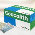 マイクロアルジェ　ココリス